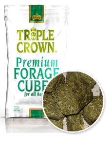 Feeding Horses: Triple Crown Forage Cubes Keep Feeding Horses Simple