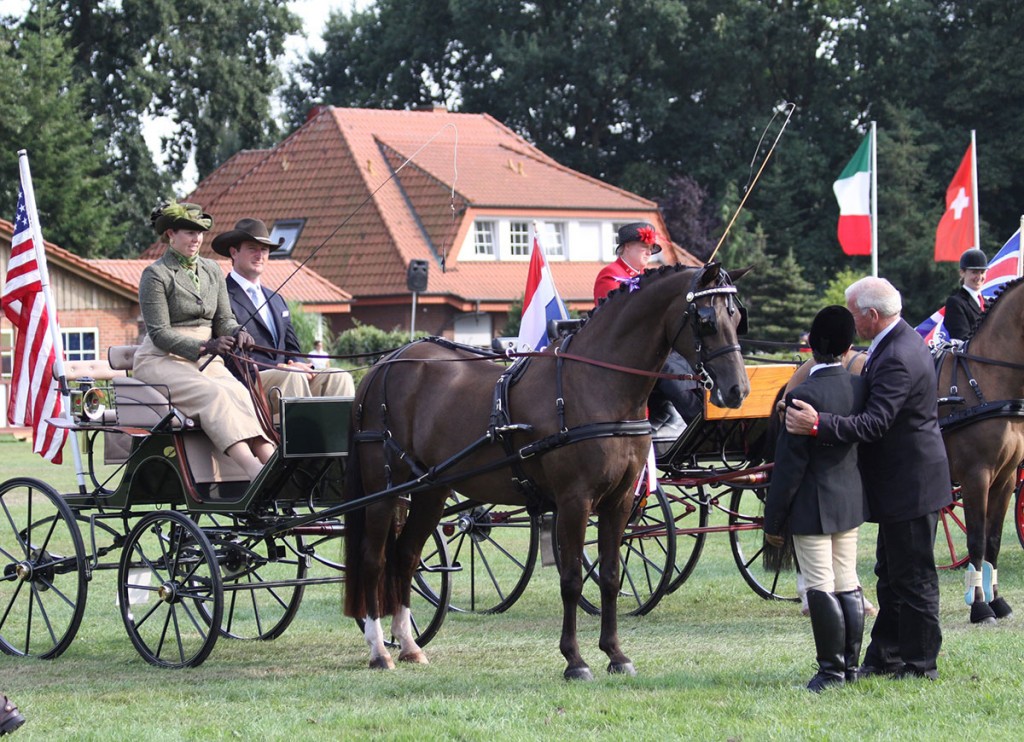 Suzy Stafford - Dressage