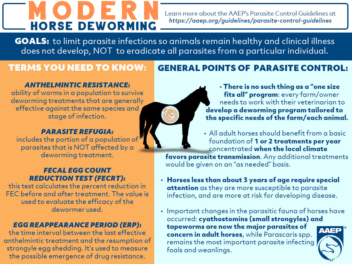 Anthelmintic meaning urdu. Filo nemathelminthes resumo