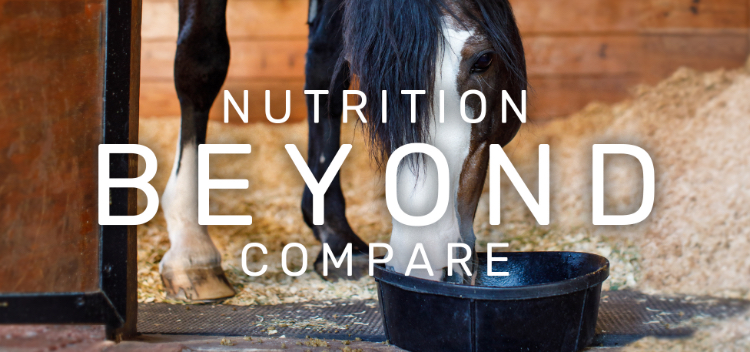 Purina Horse Feed Comparison Chart