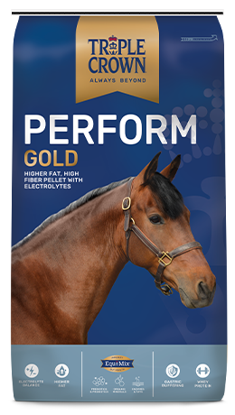 Perform Gold Triple Crown Feed