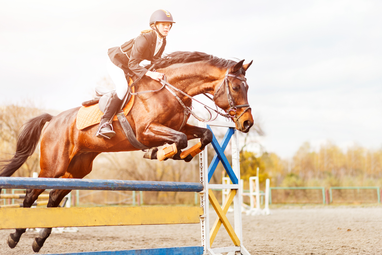 How Do You Feed The Hard keeper Horse?  Triple Crown Feed
