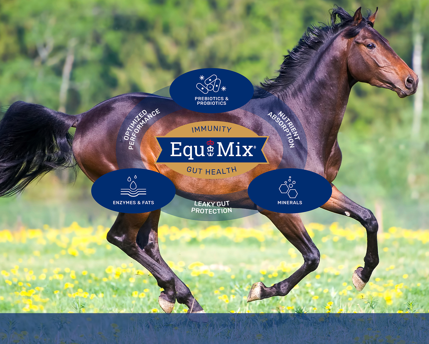 Equimix Triple Crown Feed