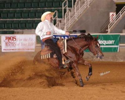 Bart Corrington Reining Horses