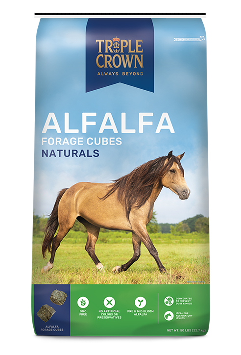 Alfalfa forage cubes naturals