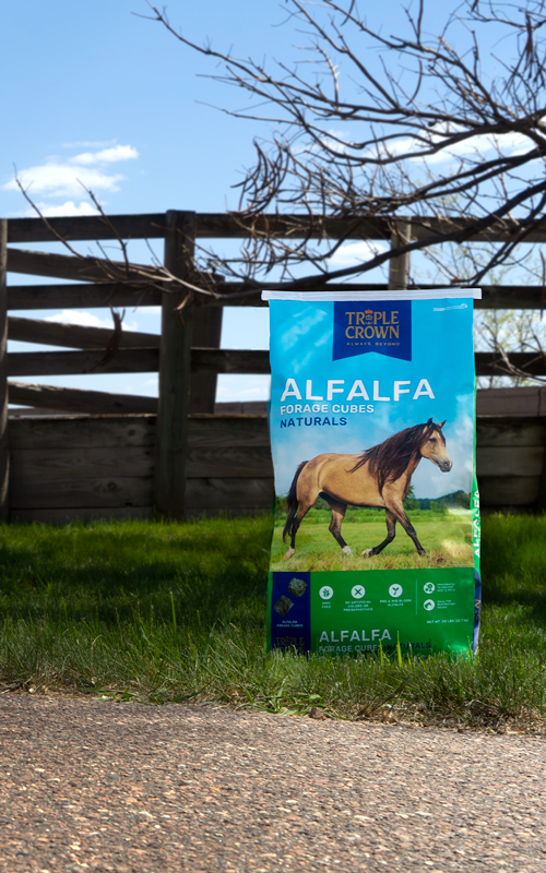 Alfalfa Forage Cubes — Naturals - Triple Crown Feed