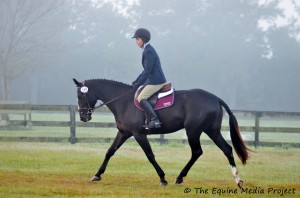 Jennifer Dachton- Erinwood Sport Horses