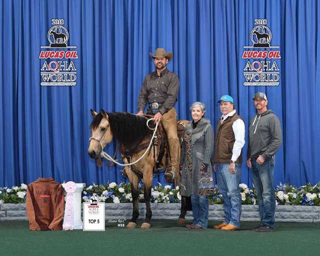 Jimmy Daurio- Daurio Performance Horses