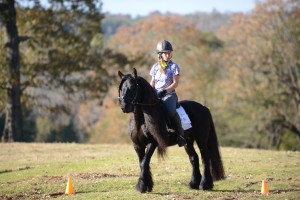 Melissa Kreuzer- Dream Hayven Farm LLC