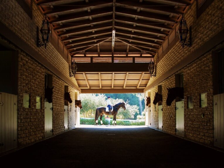 Trifecta Equine Athletic Center