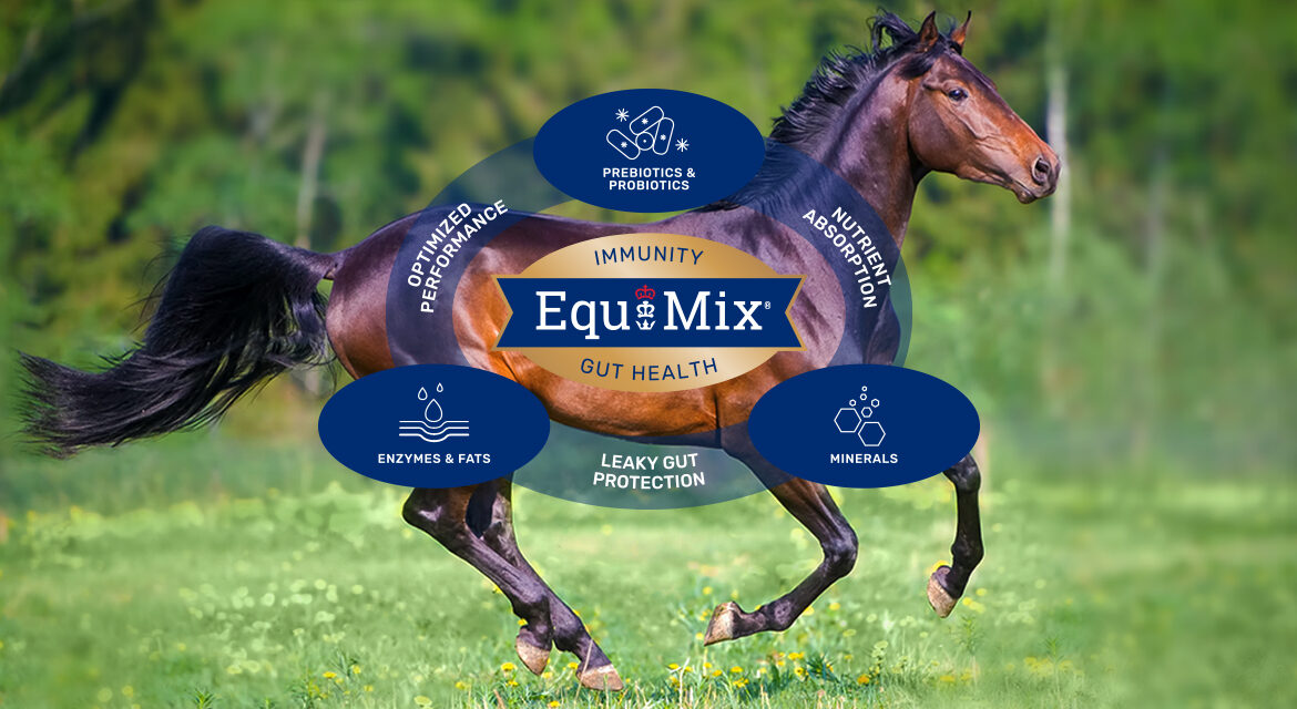 Triple Crown EquiMix