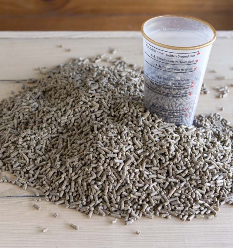 Balancer Triple Crown Feed