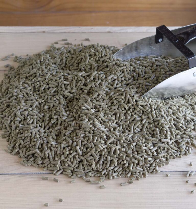 Balancer Gold Triple Crown Feed