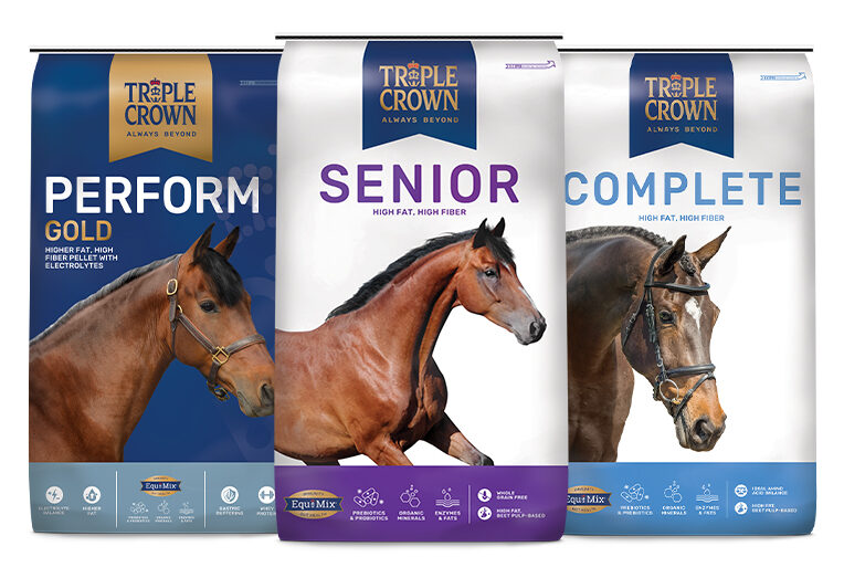 Horse feed online best sale store