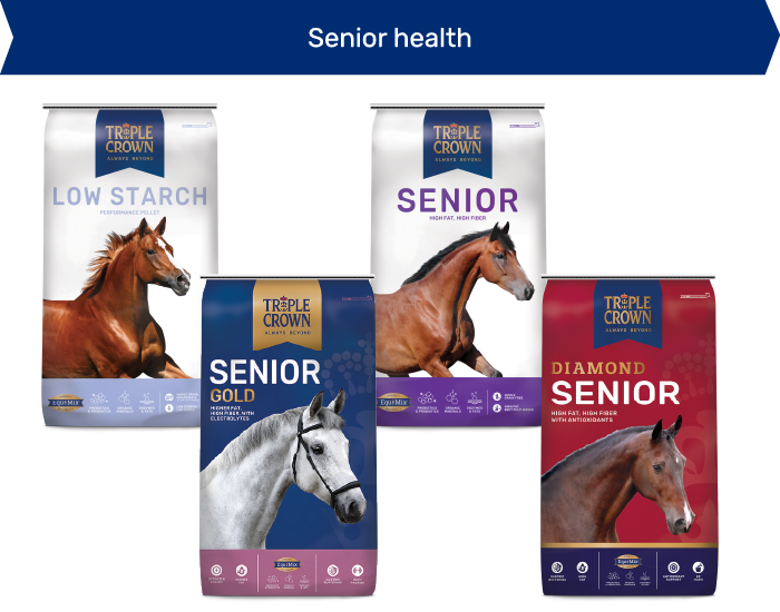 senior health