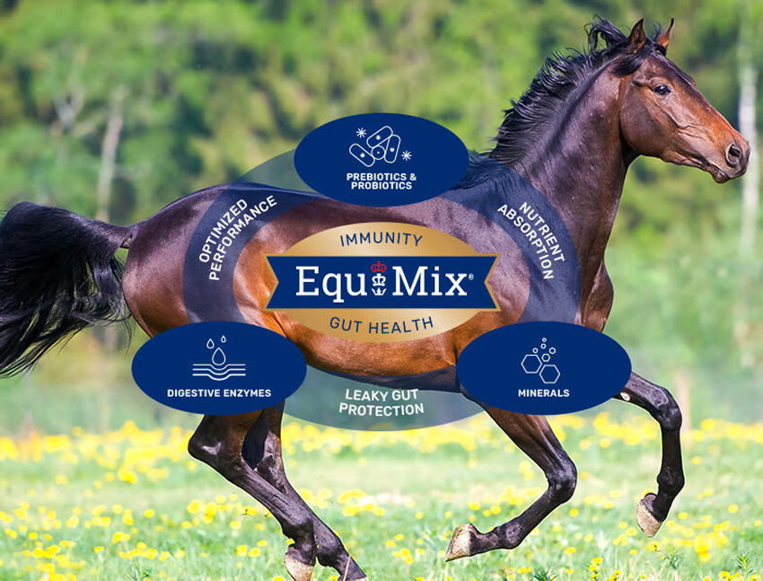 equimix