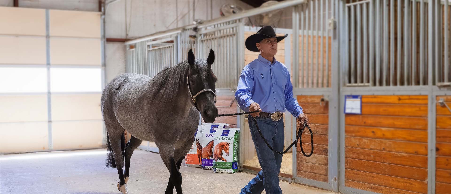 man leading horse through barn containing triple crown feeds